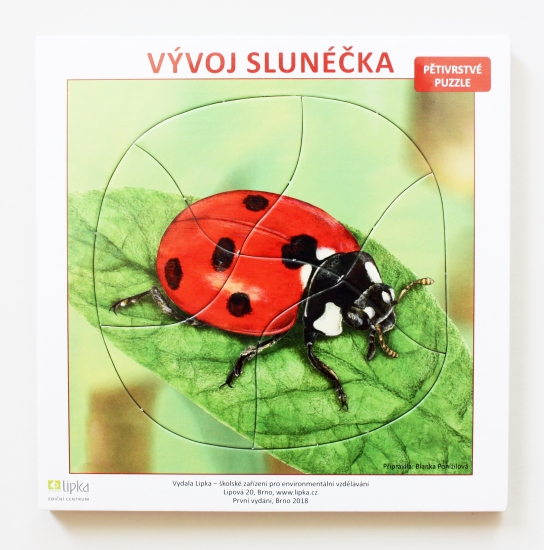 Puzzle Vývoj Slunéčka
