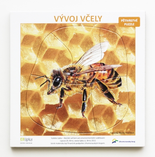 Puzzle Vývoj Včely