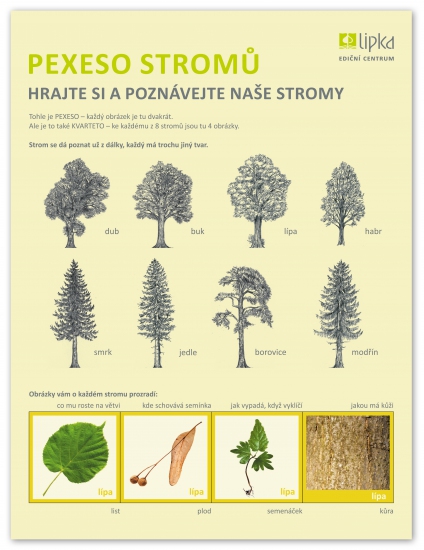 Pexeso stromů