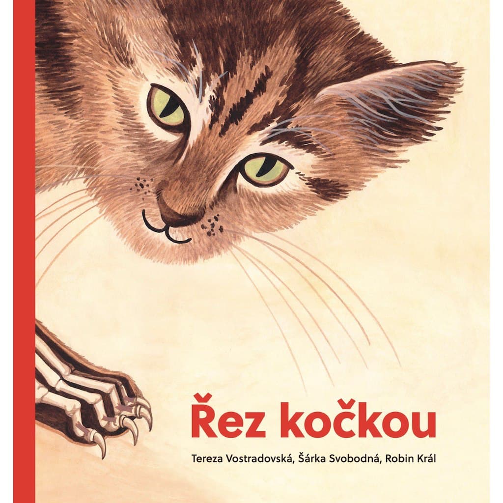 Řez kočkou